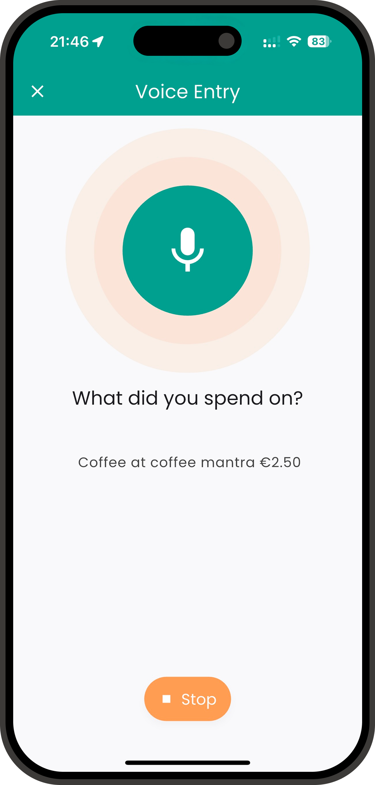 Voice Expense Tracking